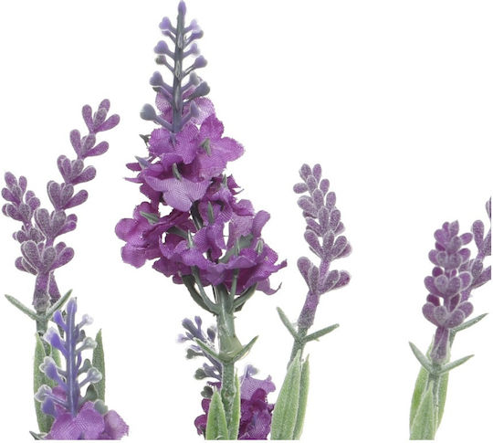 Plantă Artificială în Ghiveci Mic Lavanda Black 12cm Interni Oggi