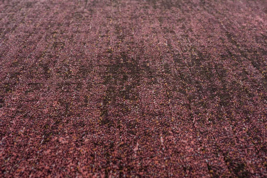 Ragolle Mancini Χαλί Ορθογώνιο Λευκό 200x290cm