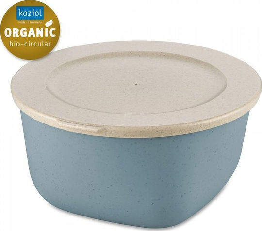 Koziol Plastic Transparent Lunch Box 2lt