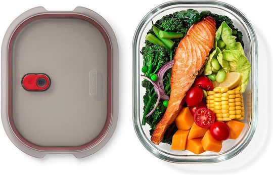 Blum Glass Black Lunch Box 1.2lt