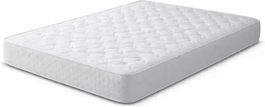 SteweHome Saltea Anatomică Single Pachet Rulat 100x200x21cm cu Arcuri Încapsulate