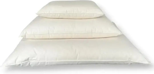 Billerbeck Classic Cu pene 50x70cm