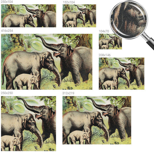 Kinder Tapeten Magicstick Familie Elefanten Im Dschungel Hintergrund 152x104