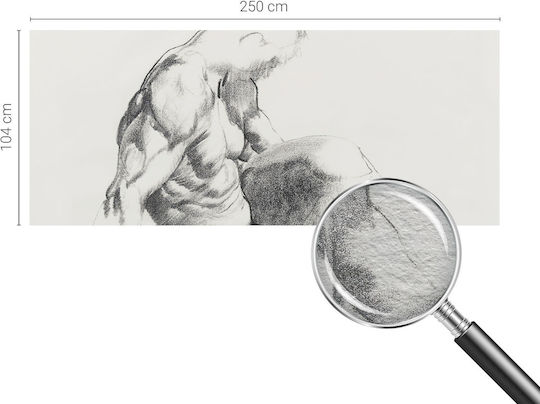 Tapet De Perete 250x104cm