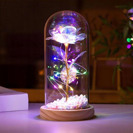 All Saints White Rose 22cm in Glass with LED Aptel