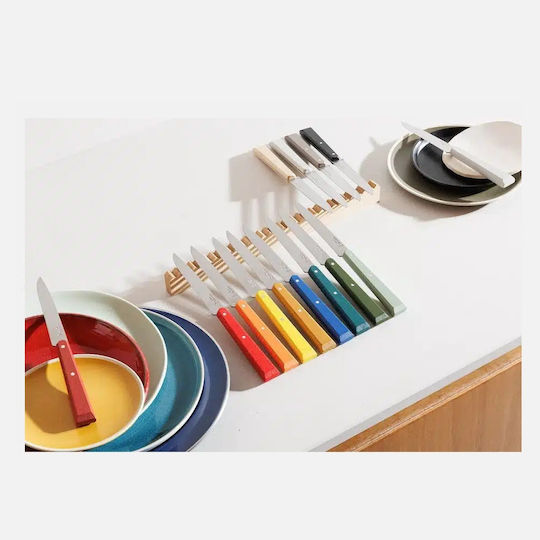 Opinel Bon Appétit No.125 Knife Set of Stainless Steel 4 Pieces