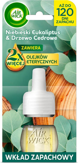 Air Wick Ätherische Öle Ersatz Für Elektrischen Raumduft Blau Eukalyptus Zedernholz 19 Ml