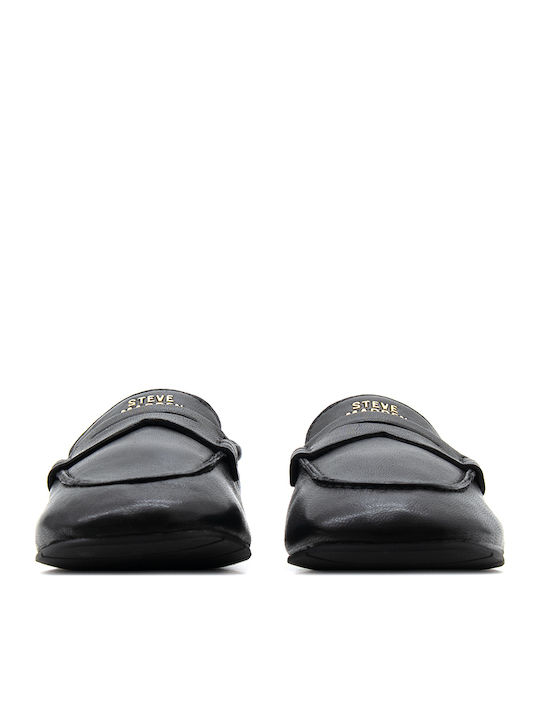 Steve Madden