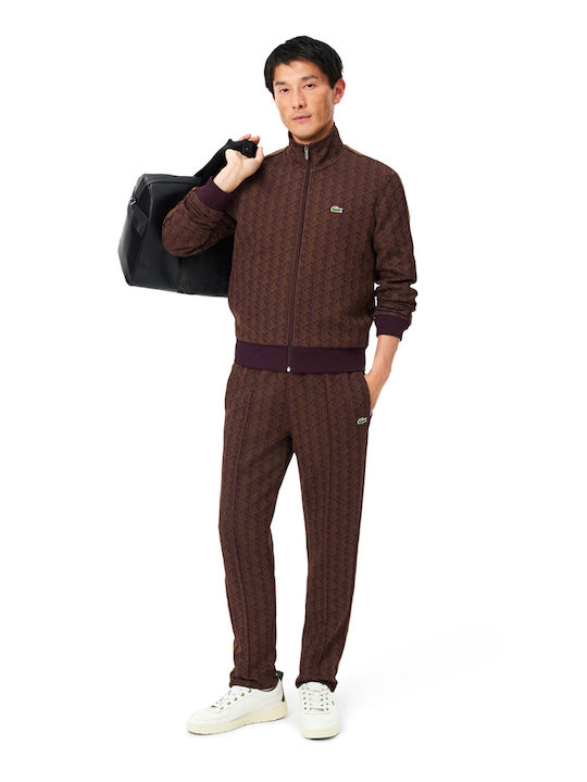 Herren-Sweatpants Burgundisch-Haki