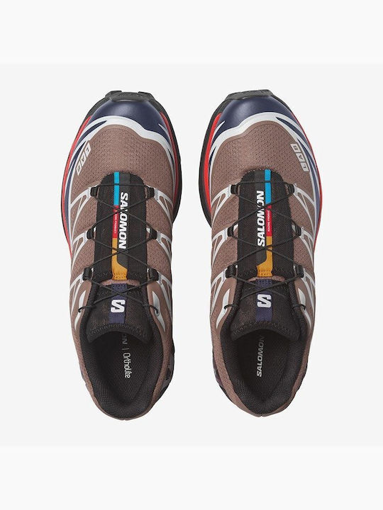 Salomon