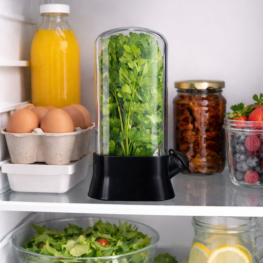 Unterstützung Beim Frischhalten Von Pflanzen Im Kühlschrank Transparenter Deckel Behälter Für Pflanzenschutz Hydrationssystem Modernes Küchendesign Wiederverwendbar Einfach Zu Verwenden 27x13 Cm Schwarz