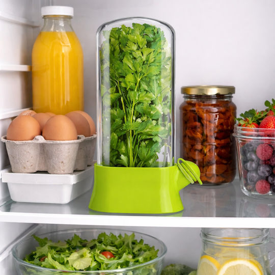 Unterstützt Das Frischhalten Von Pflanzen Im Kühlschrank Transparenter Deckelbehälter Für Das Frischhalten Von Pflanzen Hydrationssystem Modernes Küchendesign Wiederverwendbar Einfach Zu Verwenden 27x13 Cm Grün PriStyle