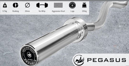 Pegasus Curl Bar Ø29mm 5kg Length 2.8cm with Spinlock Collars