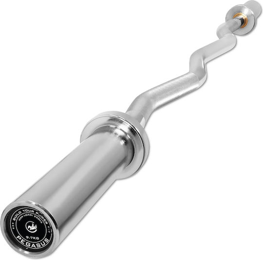 Pegasus Curl Bar Ø29mm 5kg Length 2.8cm with Spinlock Collars