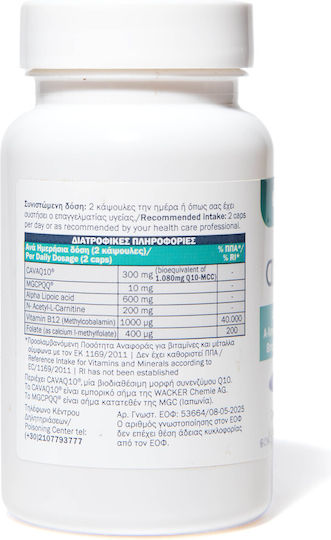 FertiThera Labs Axitol Alpha Lipoic Acid Supplement for Antioxidant Protection 30 Capsules