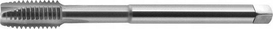 Fanar Kolaouzó M 3 Din-376b 6h Hsse 800