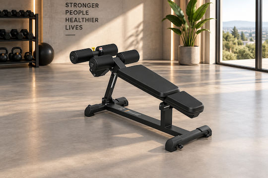 MegaFitness Rückgang Trainingsbank