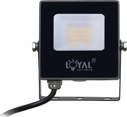 Loyal Lighting Светодиоден Прожектор 10W Неутрално Бяло 4000K IP65 Водоустойчив