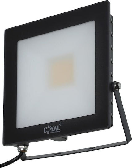Loyal Lighting Водоустойчив LED прожектор 30W Неутрално бяло 4000K IP65