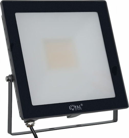 Loyal Lighting Светещ Водоустойчив LED Прожектор 50W Неутрално Бяло 4000K IP65