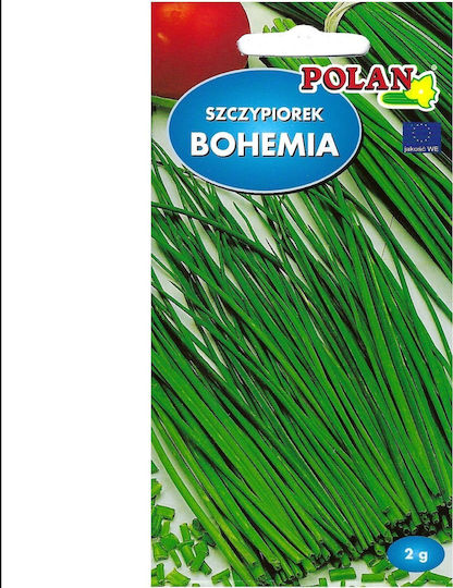 Polan Σπόροι Σχοινόπρασο 2gr