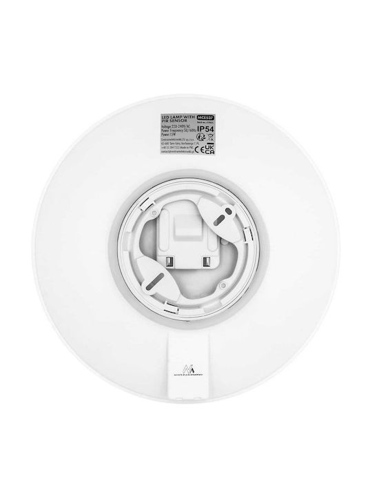 Maclean Energy Außen-Deckenleuchte Für Außenbereich Mit Eingebaute LED MCE537