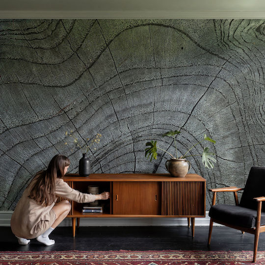 Self-Adhesive Wall Wallpaper 152x104cm