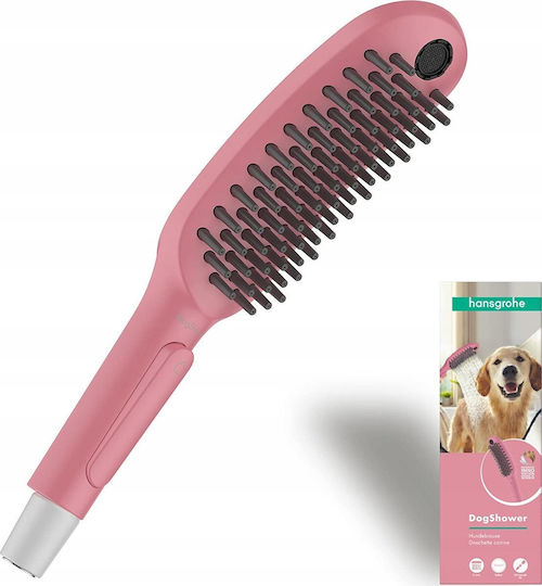 Hansgrohe Hansgrohe Handbrause mit Filter