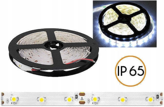 Eco Light Αδιάβροχη Ταινία LED Ψυχρό Λευκό Φως 5m Τύπου SMD2835