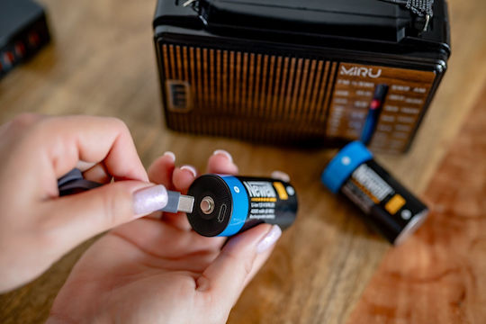 Newell Wiederaufladbare Batterien D Li-Ion 4000mAh 1,5V 2 Stück