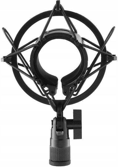 Freepower Basis