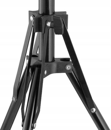Freepower Basis