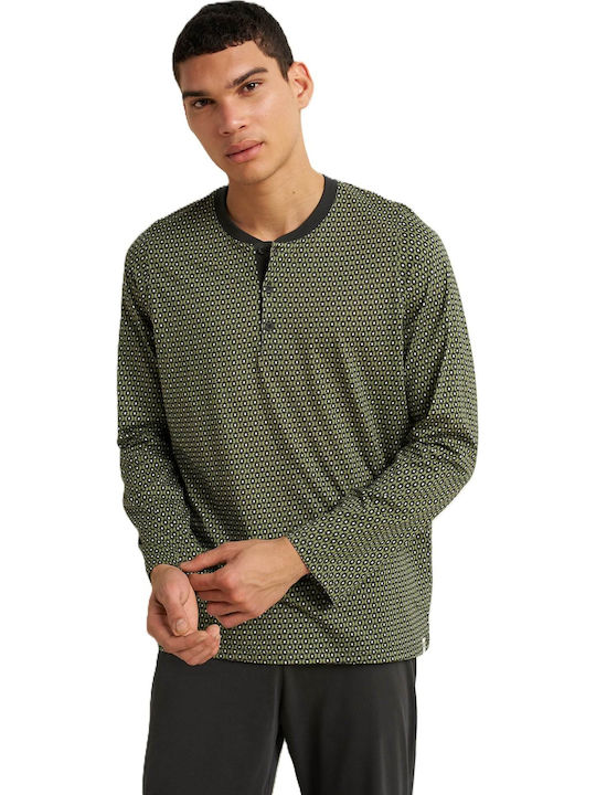 Vamp 25620