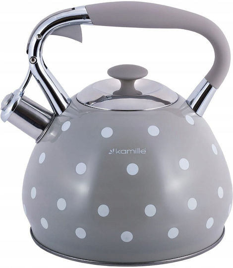 Kamille Βραστήρας Ανοξείδωτος Γκρι 3000ml