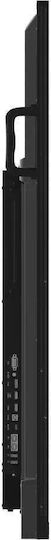 Iiyama TN7505A-B1AG Public Display 74.5" 4K UHD