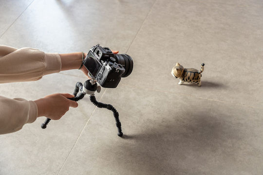 Fotopro Kamerastative mit Kugelförmiger Kopfart bis 4,5cm und Maximale Belastung 2kg