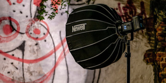 Newell Cutie de lumini cu Grilă 65 cm 50x20 cm