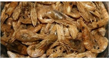 Katrinex Dried Shrimp 500 Ml