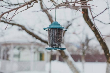 Garden&Fun Bird Feeder