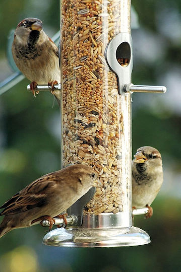 Garden&Fun Bird Feeder
