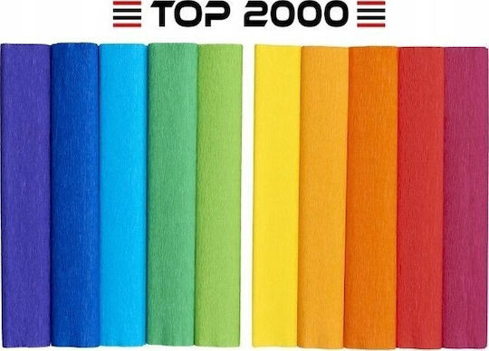 Top-2000 Floral Cardboard 10 Sheets 25x200cm Blue