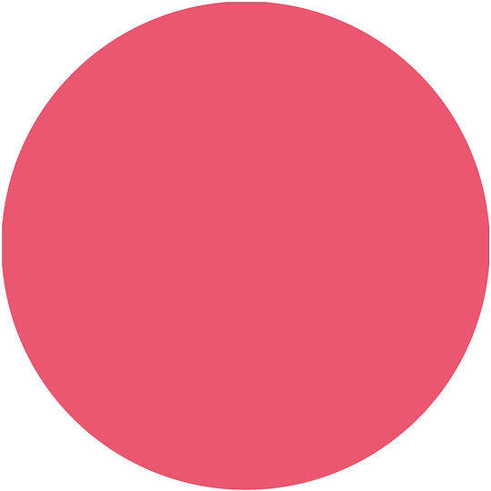 Blush Affair Liquid Ρουζ 010 Pink Feelings 10gr