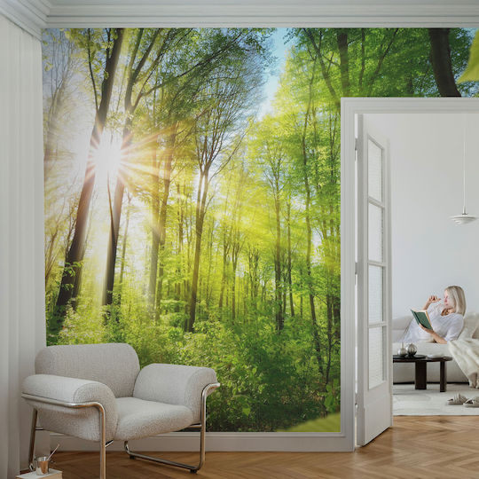 Self-Adhesive Wall Wallpaper 416x254cm
