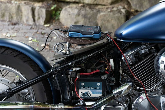 Ansmann Azo Batterieladegerät Für Auto & Motorrad 6/12V