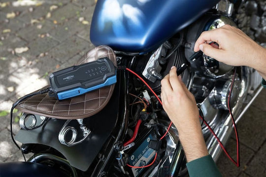 Ansmann Azo Batterieladegerät Für Auto & Motorrad 6/12V