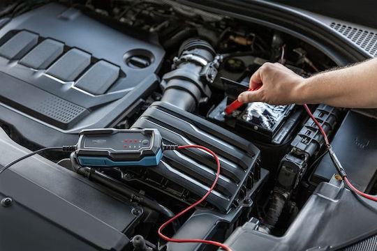 Ansmann Azo Batterieladegerät Für Auto & Motorrad 6/12V