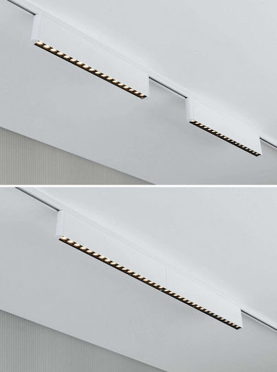 Paulmann LED Natürliches Weiß Decken- und Wandleuchte in Weiß Farbe