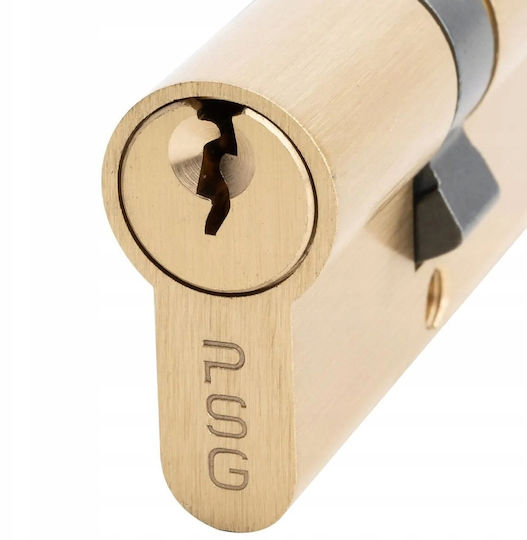 PSG Цилиндър за ключалка 60mm (30-30)