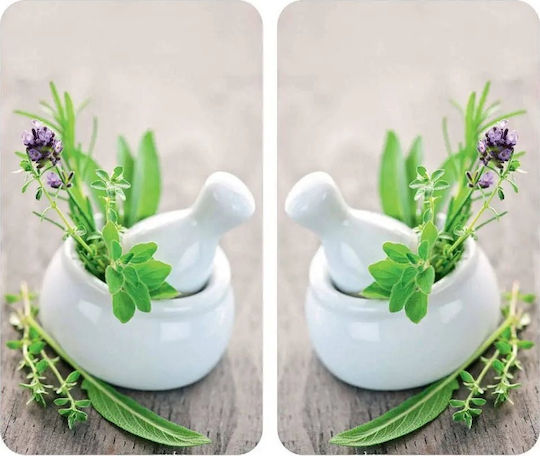 Wenko Herb Garden Glass Protective Plates Stove — 2 Pieces Wenko