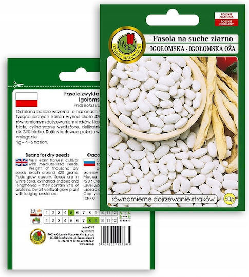 Seklos Lt Pnos Samen Bohnen Igłomska Trockene Samen 50 G